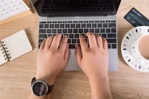 海豹的含义是什么