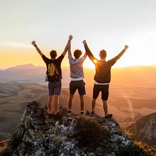 风中梧桐含义女生
