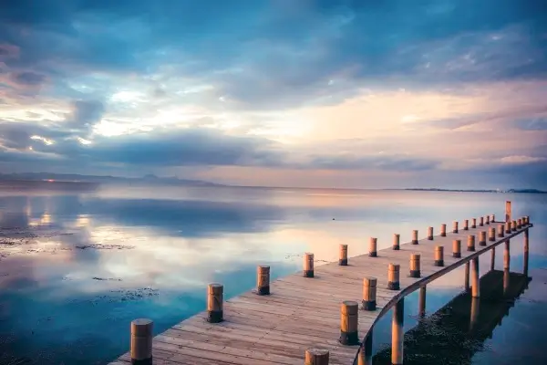 反应的意思和含义