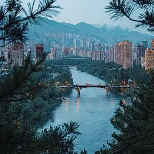 茄子的意思和含义