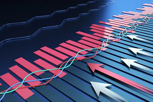 《罪证秘密》解读