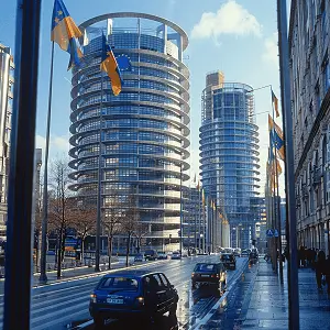 地位的意思和含义